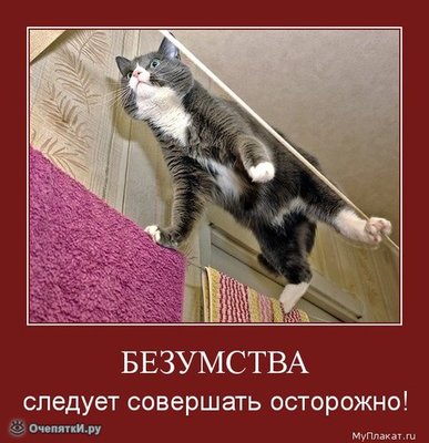 кот l.jpg